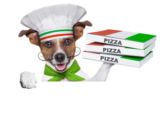 Poster - pizza delivery dog