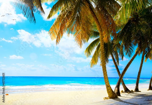 Board z aluminiowym obramowaniem Sztuka piękna nietknięta tropikalna plaża
