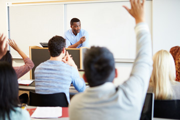 Wall Mural - male tutor teaching university students in classroom