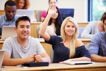 Wall Mural - students using laptops and digital tablets in lecture