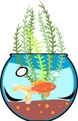 Wall Mural - Fishbowl with goldfish and aquatic plant