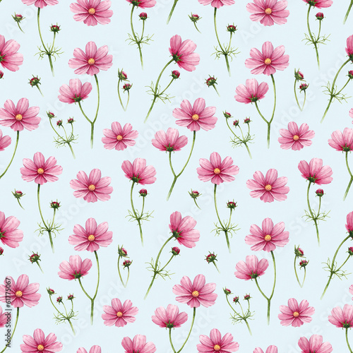 Fotografía Cosmos flowers illustration. Watercolor seamless pattern