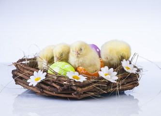 Easter, Rabbit, Chicken, Bunny, Egg