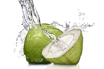 Wall Mural - splash of water on green coconut isolated on white