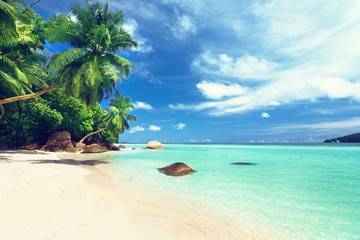 Canvas Print - beach on Mahe island, Seychelles