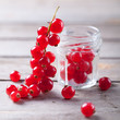 Red currant on a branch close to a glass jar with separate berri