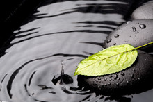 Green Leaf With Zen Stones On Wet Background
