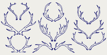 Deer Horns. Doodle Style