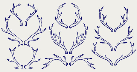 deer horns. doodle style