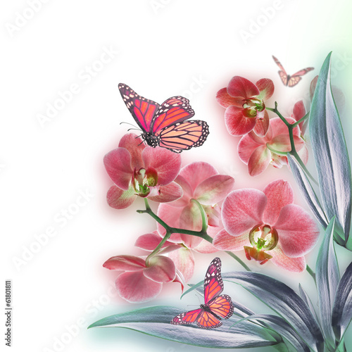 Naklejka - mata magnetyczna na lodówkę Floral background of tropical orchids and butterfly