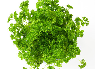 Poster - Fresh parsley