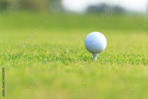Obraz na płótnie canvas czteroczęściowy "tetraptyk" Piłka golfowa na zielonej trawie
