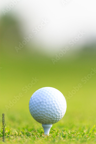 Obraz na płótnie canvas trzyczęściowy "tryptyk" Piłka golfowa na zielonej trawie