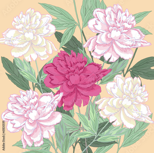 Tapeta ścienna Tło z białym i jeden różowy peonies.vector ilustracji