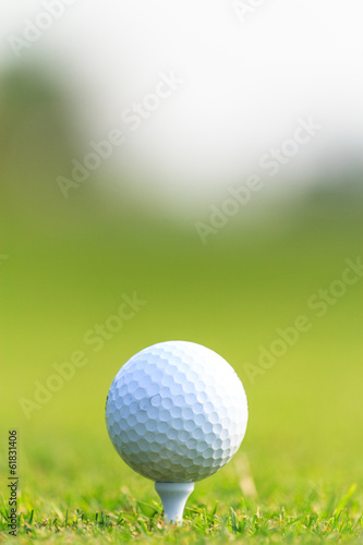Obraz na płótnie canvas Piłka golfowa