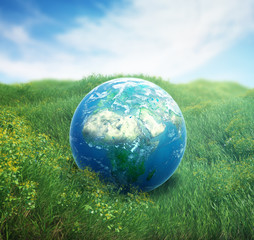 earth in a green field of grass
