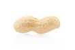 Peanut single on white, clipping path included