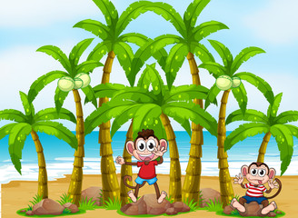 Wall Mural - Monkeys at the beach with coconut trees