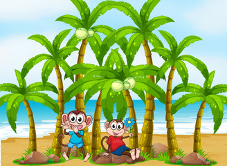 Wall Mural - Two monkeys at the beach near the coconut trees