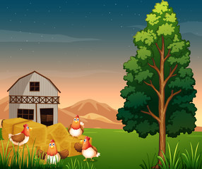 Wall Mural - A group of chickens near the hays at the farm