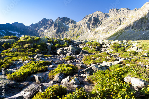 Board z aluminiowym obramowaniem Mengusovska dolina, wysokie tatry (wysokie tatry), słowacja