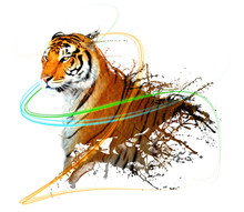 Tiger Splash With Light Trails