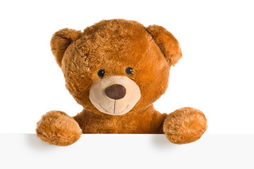 teddy bear behind whiteboard