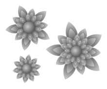Vector Gray Flowers