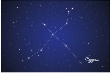 Wall Mural - constellation cygnus