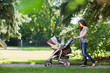 Mother Pushing Stroller In The Park
