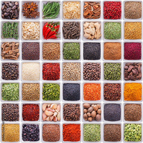 Fototapeta na wymiar large collection of different spices and herbs