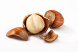 Hazelnuts, filbert on white