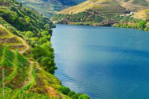 Naklejka samoprzylepna Dolina Douro