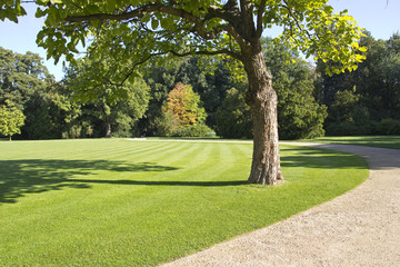 park landscape