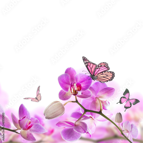 Naklejka - mata magnetyczna na lodówkę Floral background of tropical orchids and butterfly