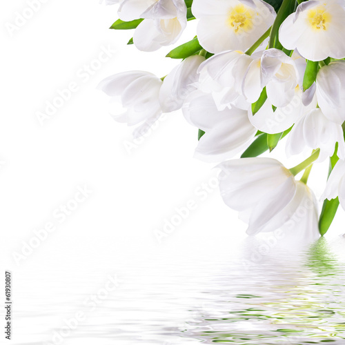 Obraz w ramie White tulips with green grass and butterfly. Floral background.