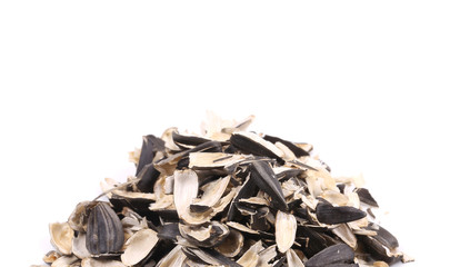 Canvas Print - Bunch of sunflower seeds pile.