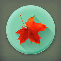 Wall Mural - maple leaf, long shadow vector icon