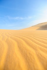 Sand Pattern on Sand Dune