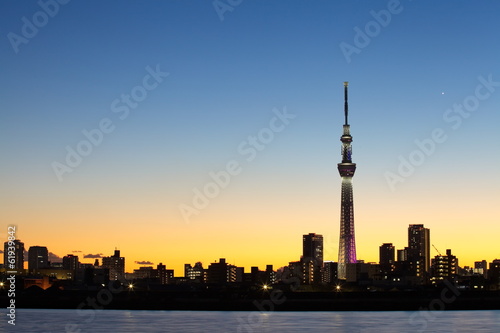Fotoboard na płycie Tokyo sky tree