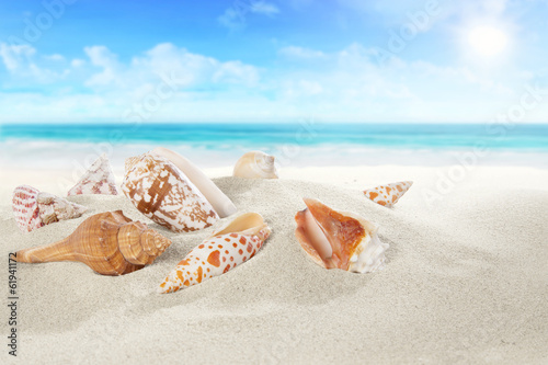 Tapeta ścienna Piaszczysta plaża