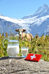 Wall Mural - Swiss cow and milk