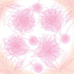  Pink Background with peony. Vector illustration