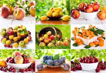 Wall Mural - collage of various fruits and berries