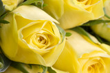 160_f_61991209_cwhrd1xsaqisyf7h1bu4gp8nbjfbewmh