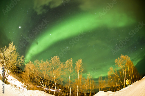 Tapeta ścienna Zorza polarna (aurora borealis)