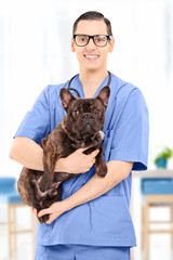 Poster - Young male veterinarian in uniform holding a dog, indoors