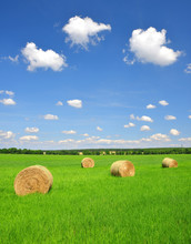 Straw Bale In A Lush Green Field And Blue Sky
