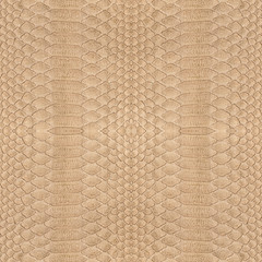 Canvas Print - background of light brown snake skin