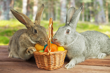 Two rabbits in a basket